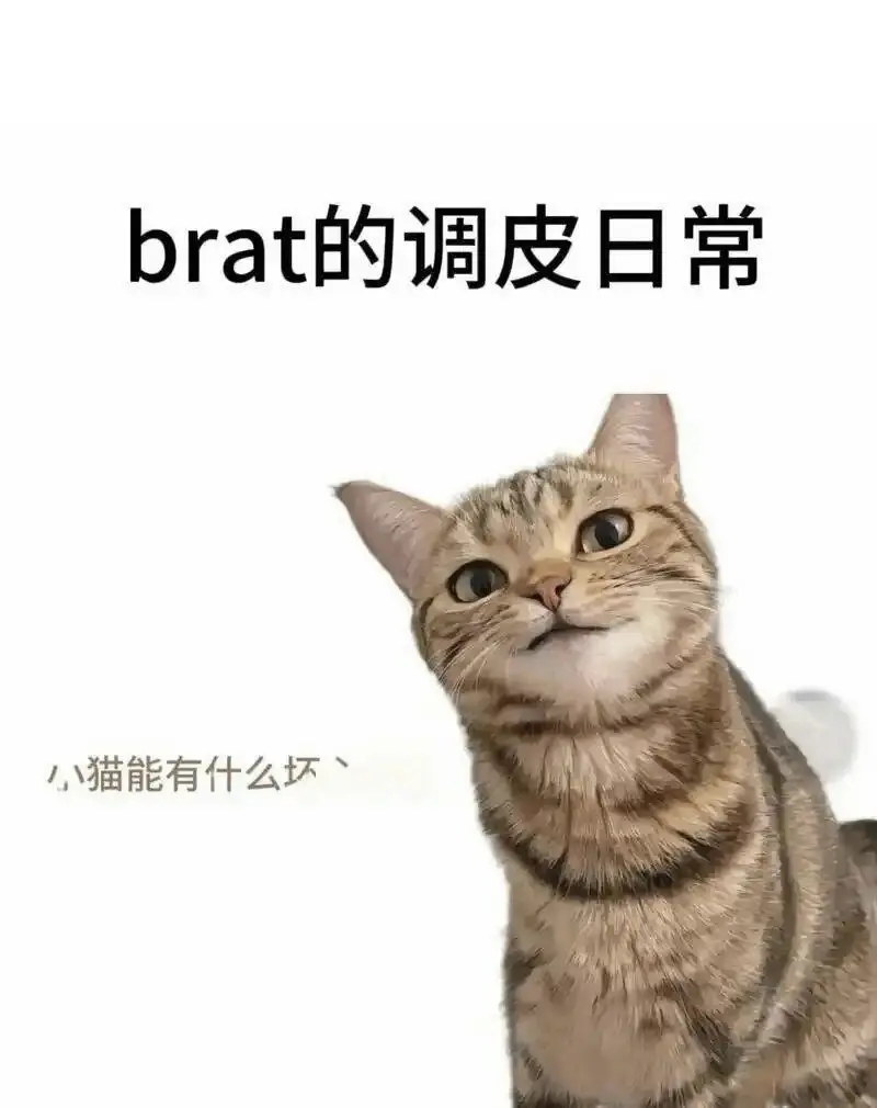 brat属性 - 2025-11-13 192048