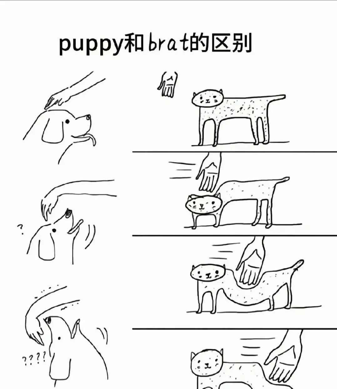 西檬之家-字母圈的S属性是什么？BDSM角色解析指南