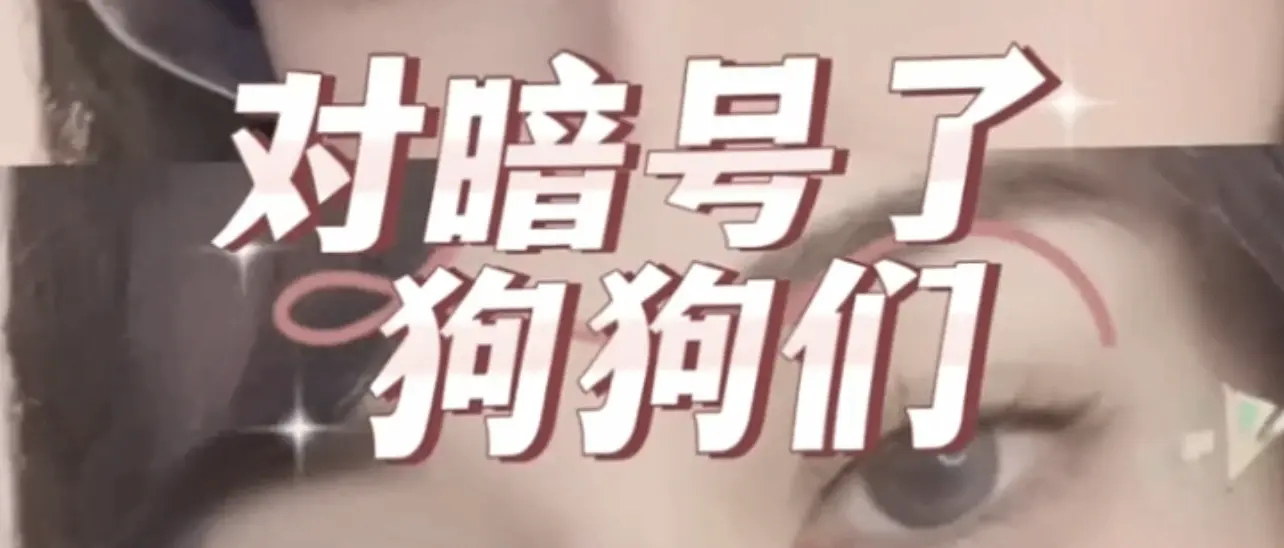 【西檬之家】BDSM小圈入门指南：安全、信任与沟通的基石