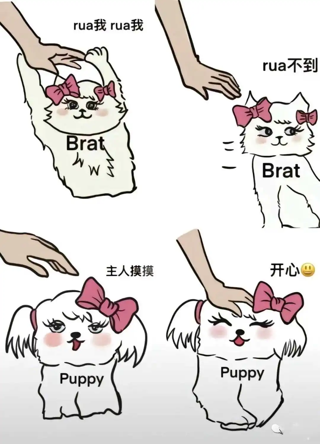 【西檬之家】字母圈小圈是什么？你的BDSM属性是什么？