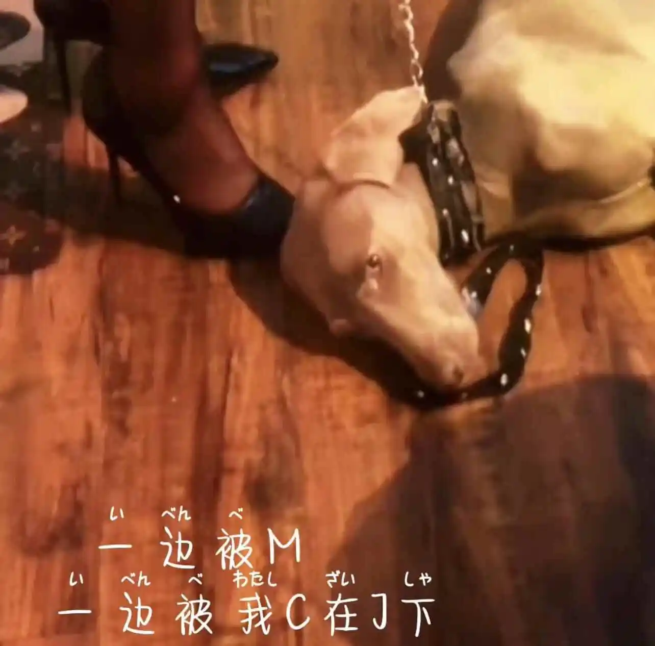 西檬之家-字母圈的践踏癖是什么意思？