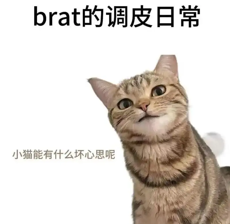 DS关系 - 微信图片_20251203212836_109_19